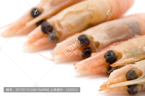蝦特寫