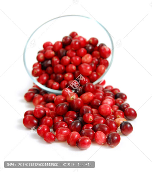 在一個碗里小紅莓