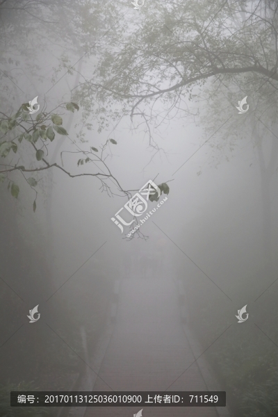 霧