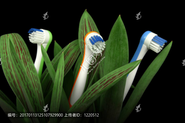 自然關(guān)懷