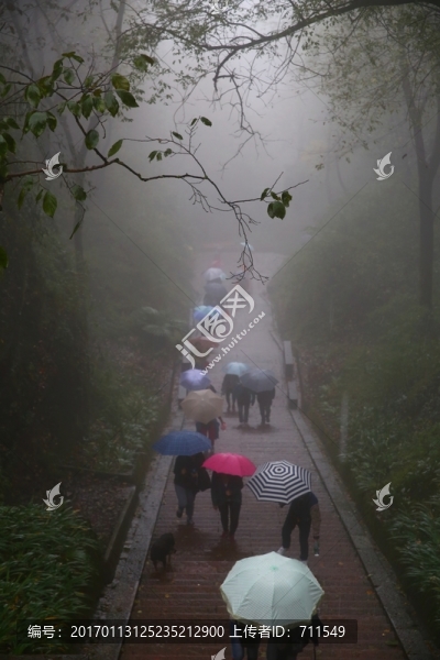 雨霧登山