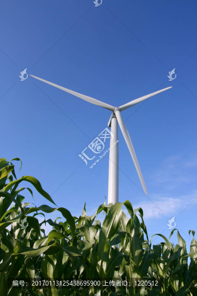 場(chǎng)中的風(fēng)力渦輪機(jī)