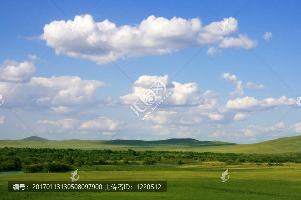 草原的夏天