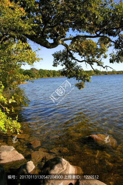 風(fēng)景湖岸邊