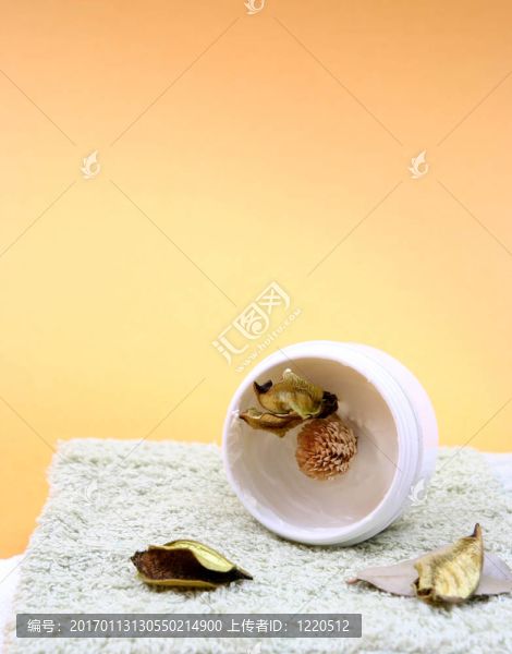 SPA要點