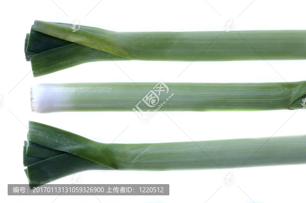 韭菜