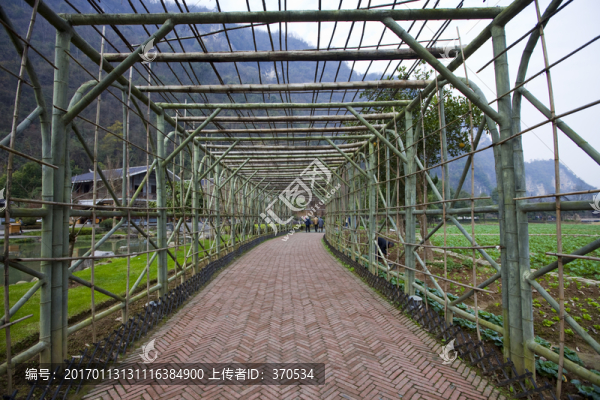 張家界,黃龍洞,著名景點(diǎn),旅游