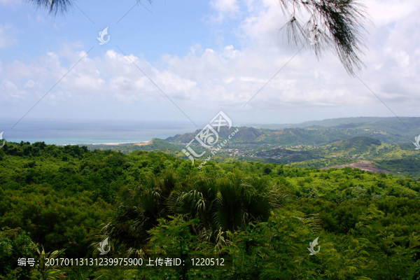 巴巴多斯東海岸