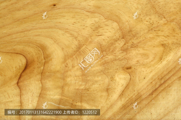 木粒系列5