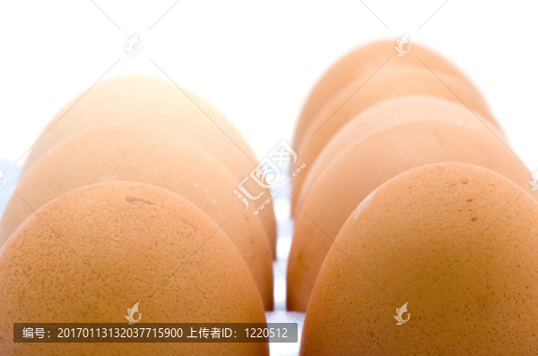 雞蛋盒