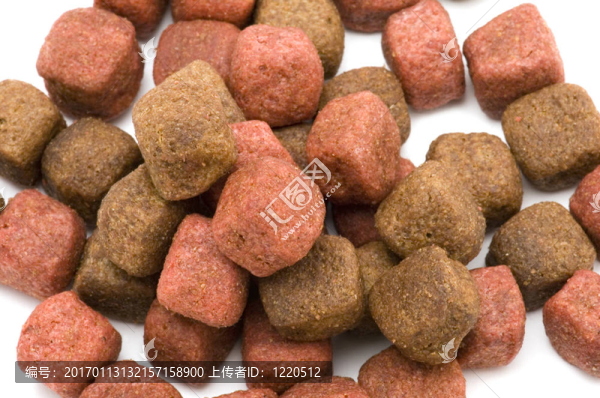 飼料的白