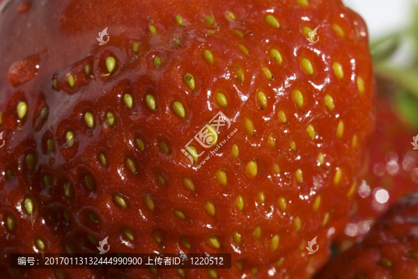 草莓大筍