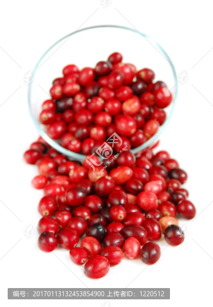 在一個(gè)碗里小紅莓