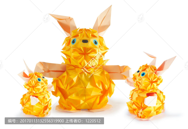 兔子的家