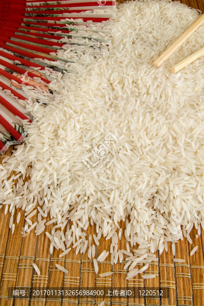 水稻-匯圖網(wǎng) www.fosd68.com 水稻