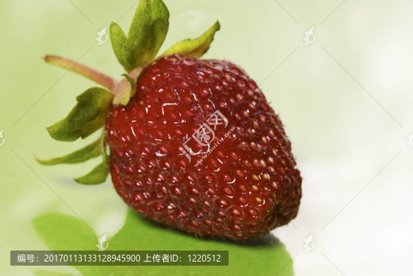 綠色隔離草莓