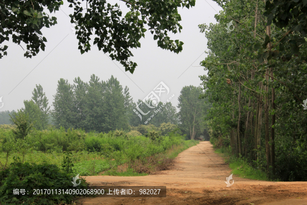 鄉(xiāng)村道路