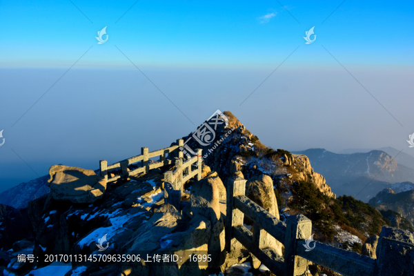 泰山
