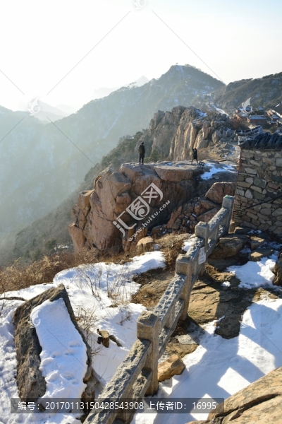 泰山
