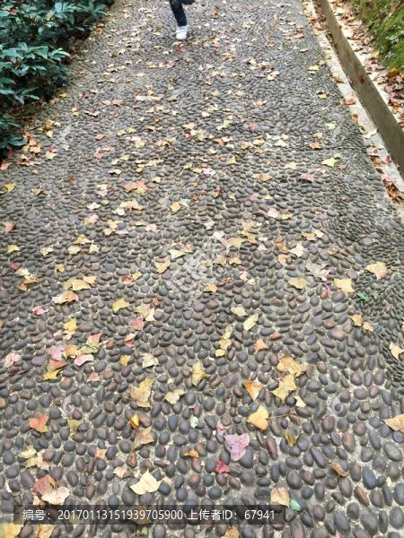 鵝卵形石頭散步小路