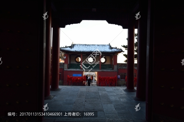 泰山