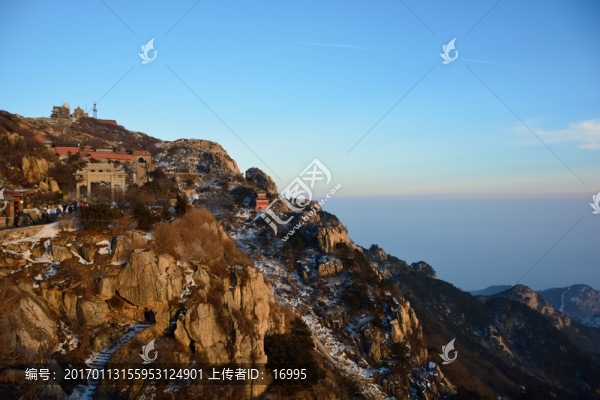 泰山