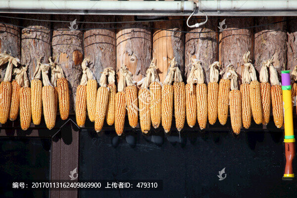 包米吊子,鄉(xiāng)村,苞米,包米,米