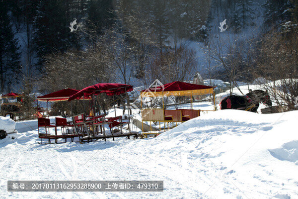 林海雪原,雪鄉(xiāng),山,松樹,松林