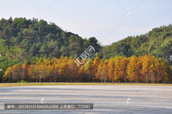 秋景-匯圖網(wǎng) www.fosd68.com 秋景