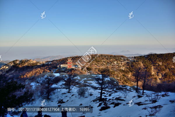 泰山雪景