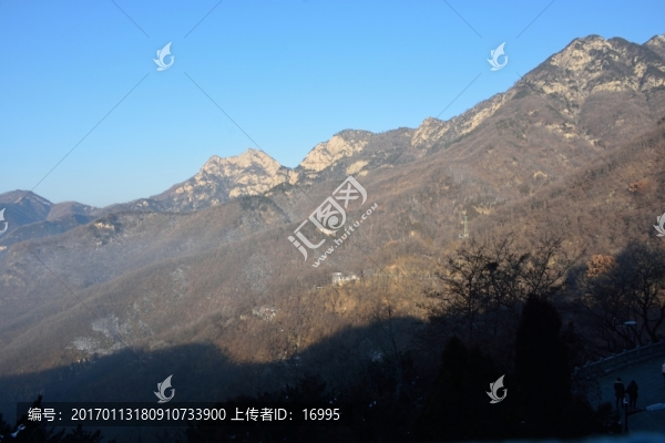 泰山