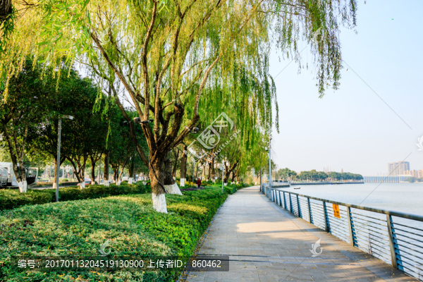 城市綠化,樹林,城市花園,公園