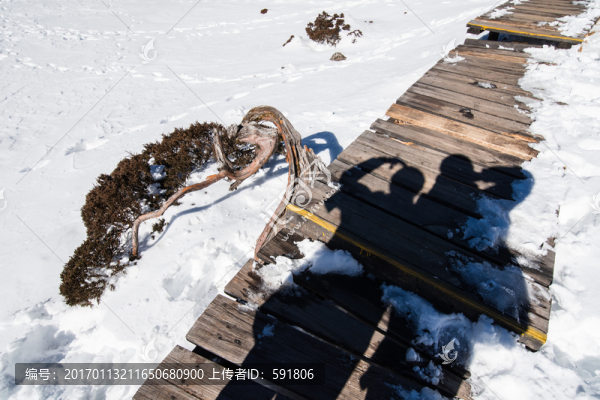 雪山棧道上的人影