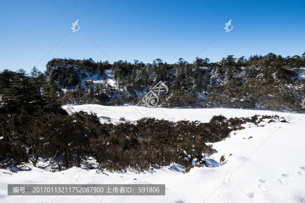 轎子雪山風光