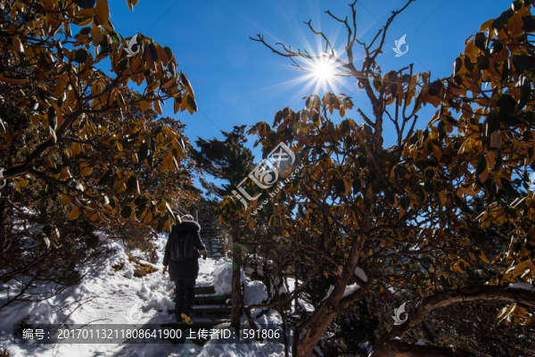 轎子雪山風(fēng)光