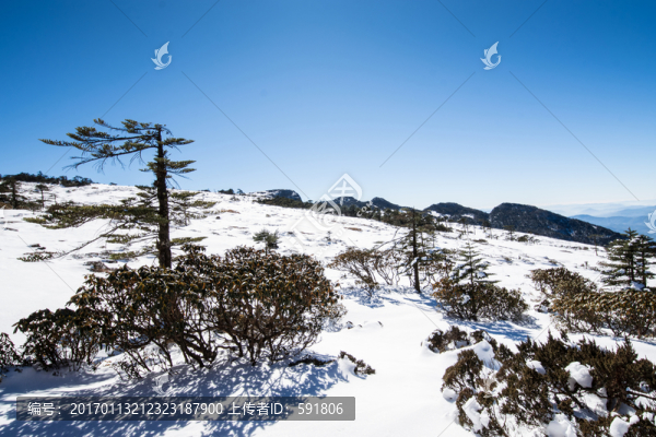 轎子雪山風(fēng)光