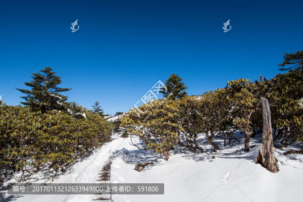 轎子雪山風(fēng)光