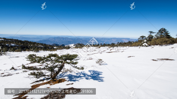 轎子雪山風(fēng)光