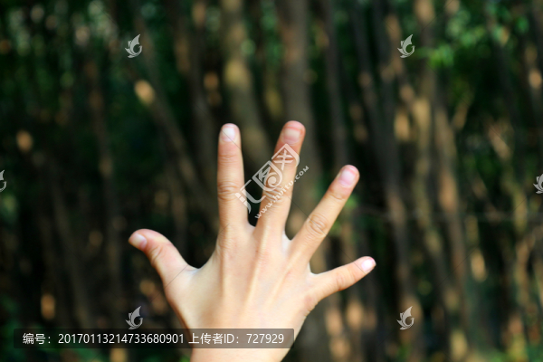 手