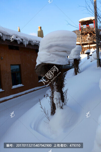 雪鄉(xiāng),雙峰林場,中國雪鄉(xiāng),雪景