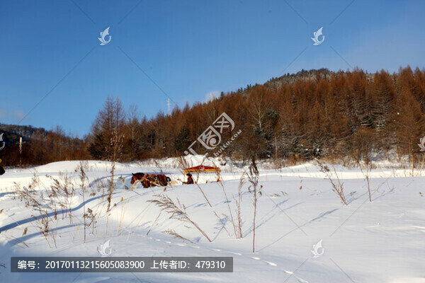 中國(guó)雪鄉(xiāng),馬拉雪橇,雪橇,雪鄉(xiāng)