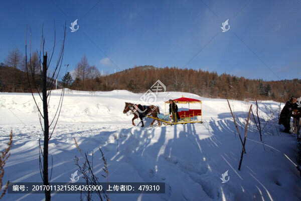 中國(guó)雪鄉(xiāng),馬拉雪橇