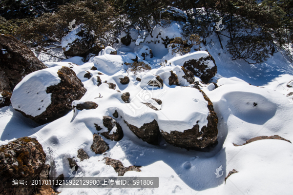 白雪覆蓋的溪流巖石