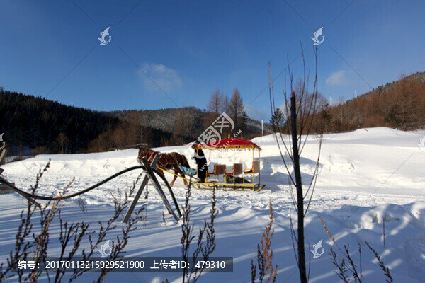 中國雪鄉(xiāng),馬拉雪橇,雪橇,雪鄉(xiāng)