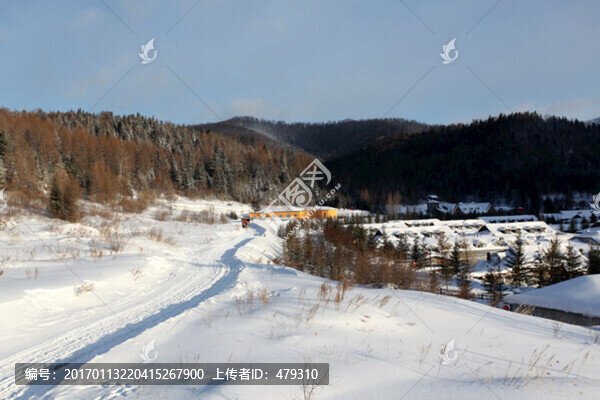 中國(guó)雪鄉(xiāng),馬拉雪橇,雪橇,雪鄉(xiāng)
