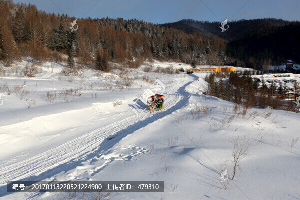 中國雪鄉(xiāng),馬拉雪橇,雪橇,雪鄉(xiāng)