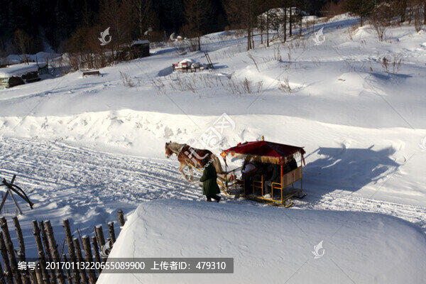 中國(guó)雪鄉(xiāng),馬拉雪橇,雪橇,雪鄉(xiāng)