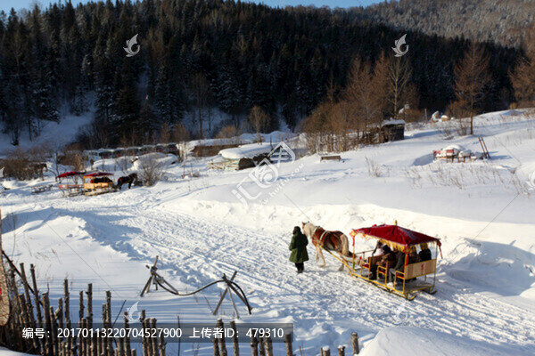 中國(guó)雪鄉(xiāng),馬拉雪橇