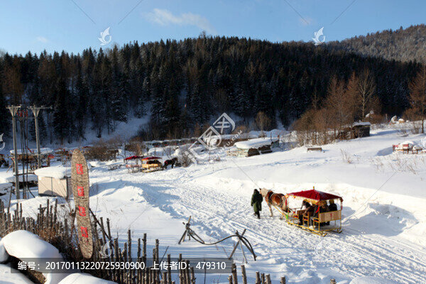 中國雪鄉(xiāng),馬拉雪橇,雪橇