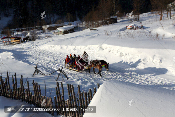 中國(guó)雪鄉(xiāng),馬拉雪橇,雪橇,雪鄉(xiāng)